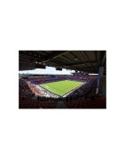 Stade Rennais