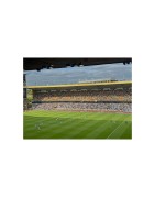 Wolverhampton Wanderers