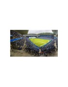 Real Oviedo